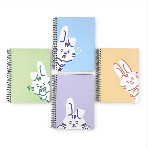UNDERCOVER RABBIT DRAWING BOOK