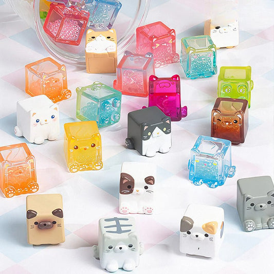 Square Cat Series Blind Bag